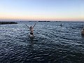 IMG_3506