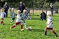 IMG_4621