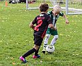 IMG_4624