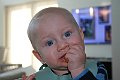 IMG_2980