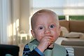 IMG_2987