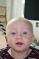 IMG_2950