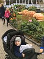 IMG_5160