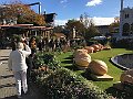 IMG_5175