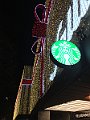 IMG_5661