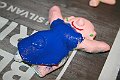 IMG_3050