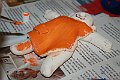 IMG_3051