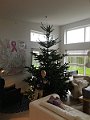 IMG_5915