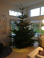 IMG_5918