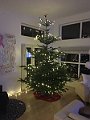 IMG_5961