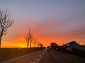 IMG_0246