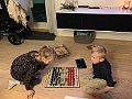 IMG_0496