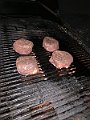 IMG_0514