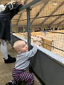 IMG_0642