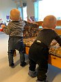 IMG_0595
