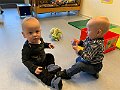 IMG_0603