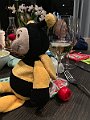 IMG_1622