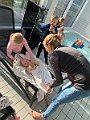 IMG_1772