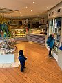 IMG_1842