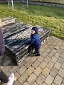 IMG_1877