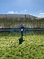 IMG_2298