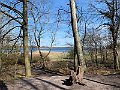 IMG_2519