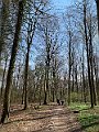 IMG_2527