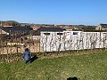 IMG_2617