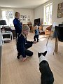 IMG_2678