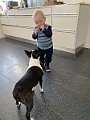 IMG_2687