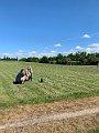 IMG_3334