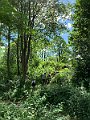 IMG_3664