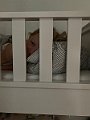 IMG_3690