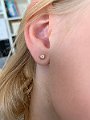 IMG_3703