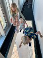 IMG_3789