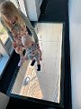 IMG_3790