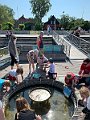 IMG_3442
