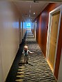 IMG_3537