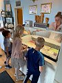 IMG_3518