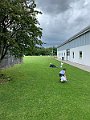 IMG_3523