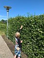 IMG_3644
