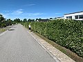 IMG_3646