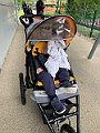 IMG_4241