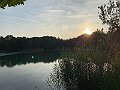IMG_4533