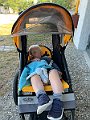 IMG_4552