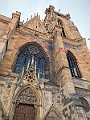 IMG_4601
