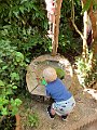 IMG_4606