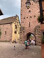 IMG_4778