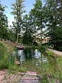 IMG_5015