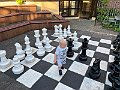IMG_5101